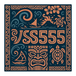 vs555 logo
